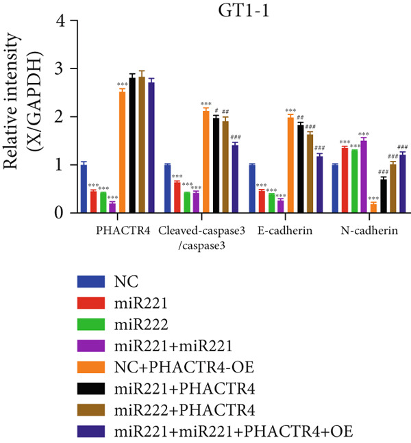 Figure 20