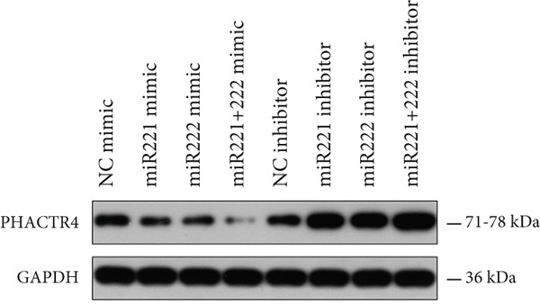 Figure 23