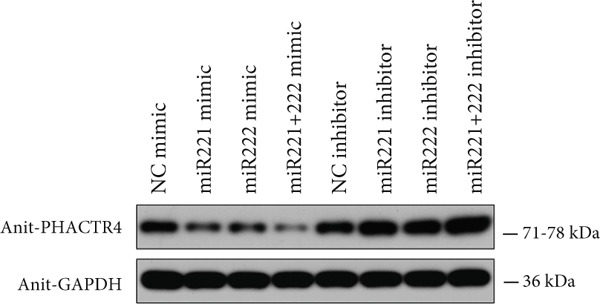 Figure 26