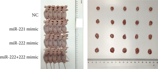 Figure 28