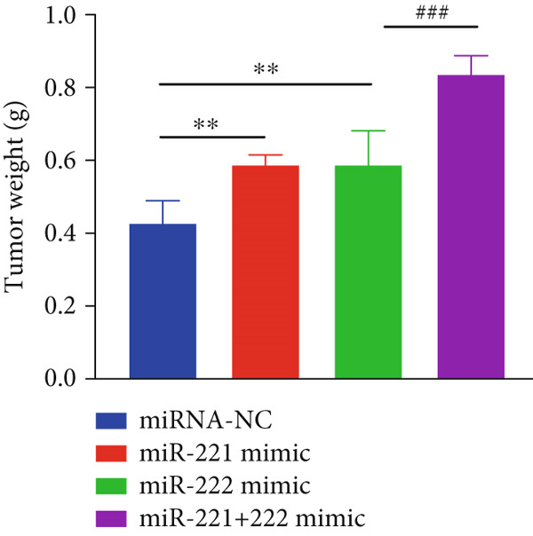 Figure 31