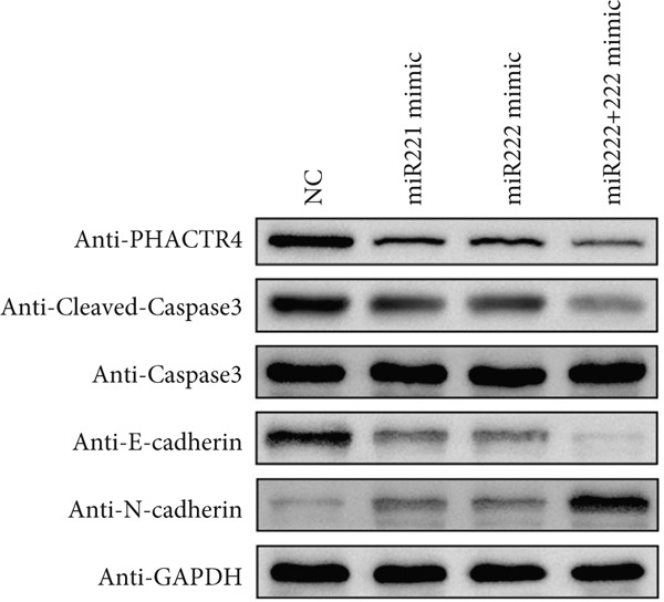 Figure 32