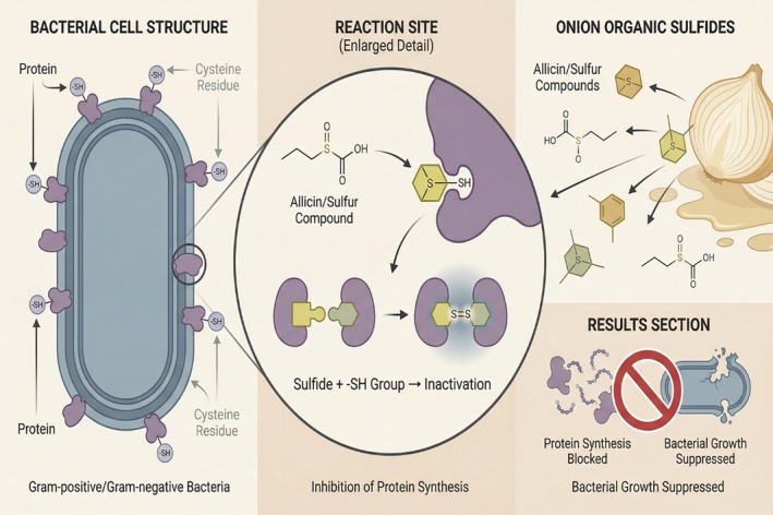 FIGURE 3