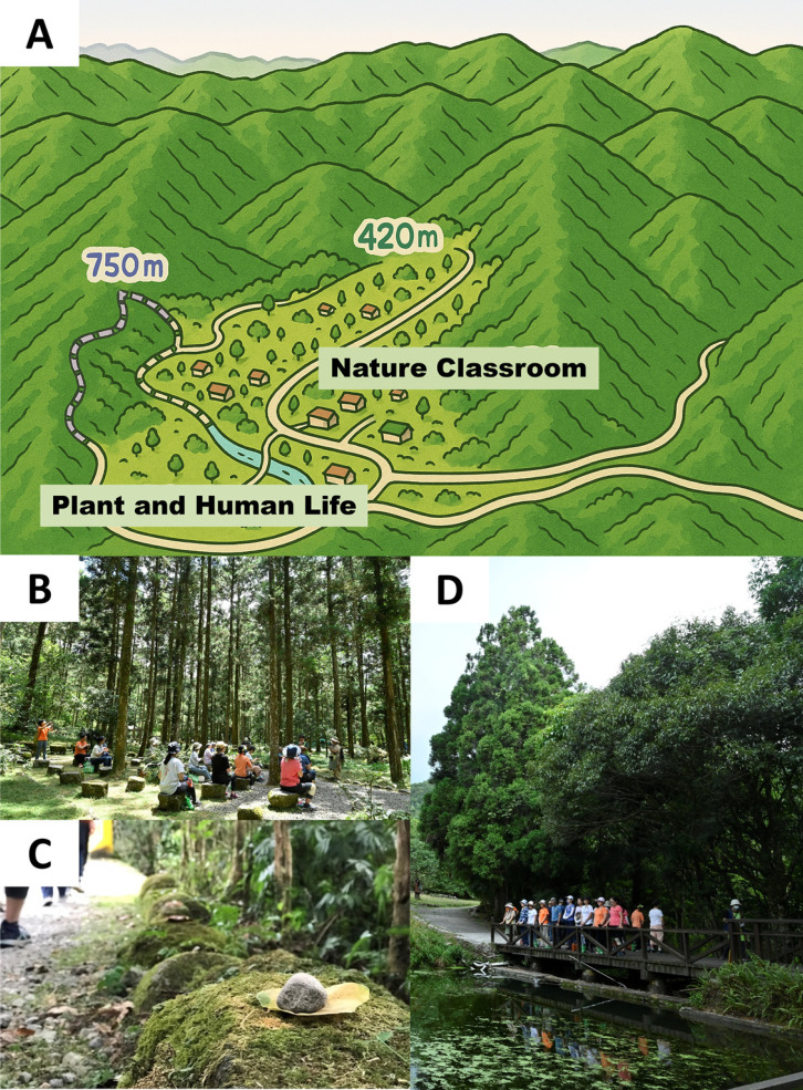 Fig. 2