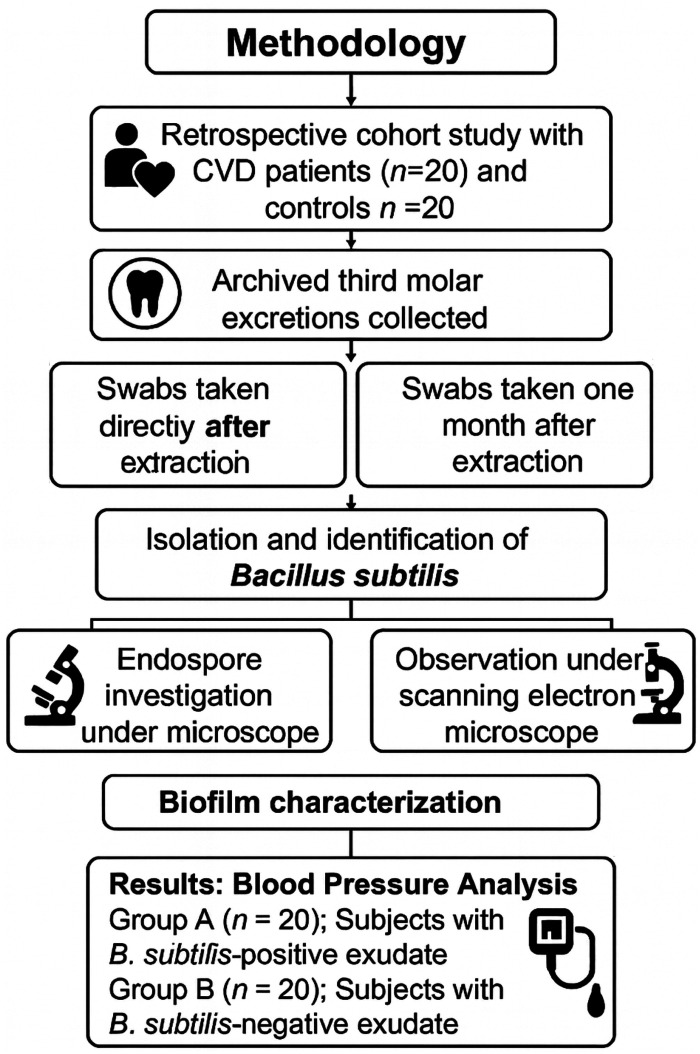 Figure 3