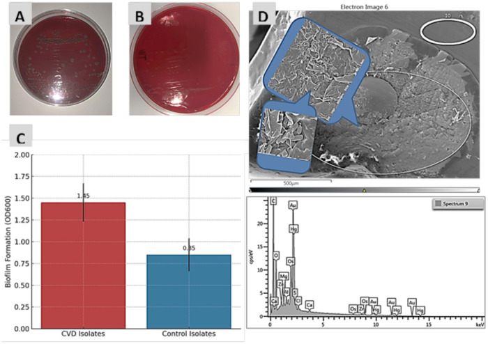 Figure 6
