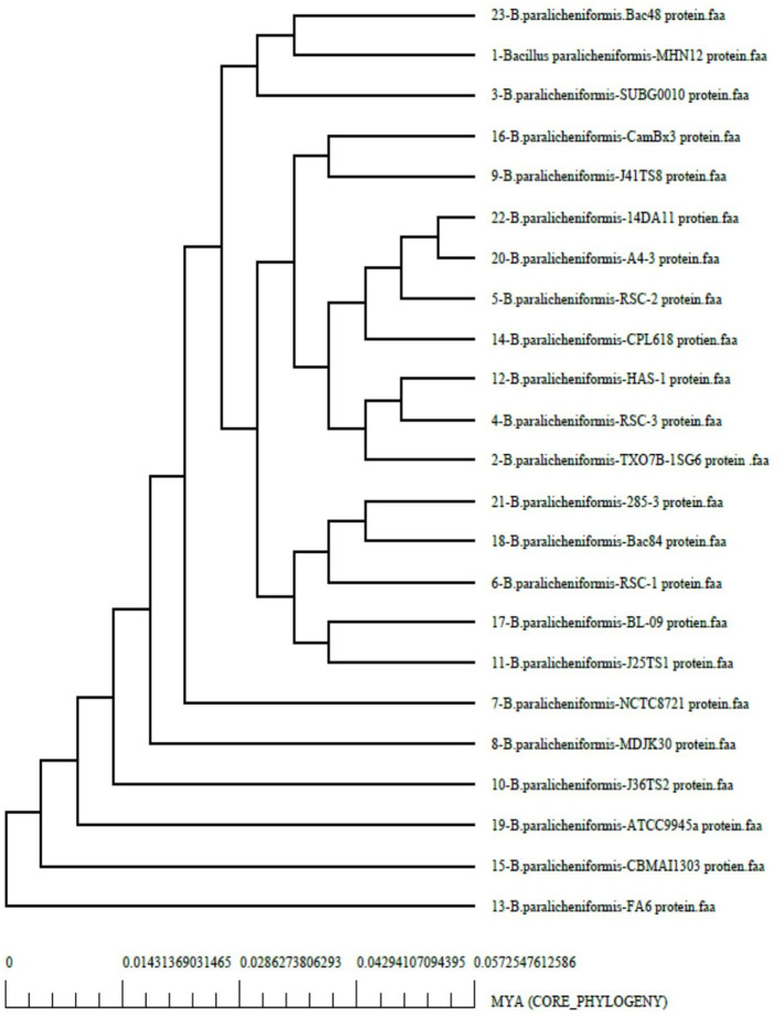 Figure 5