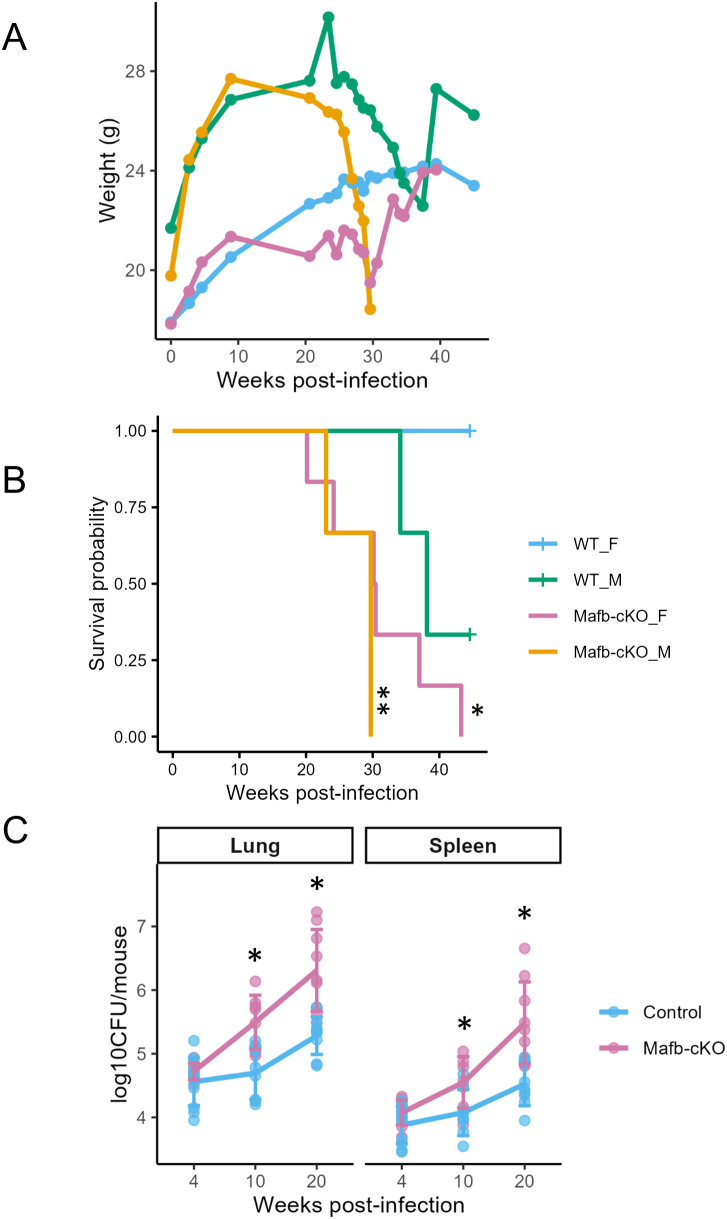 Figure 6