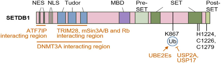 Figure 4