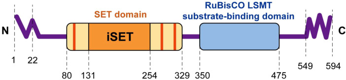 Figure 7