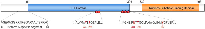 Figure 9