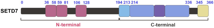 Figure 10