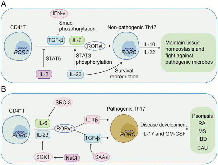 Figure 13