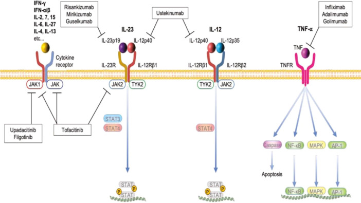 Figure 14