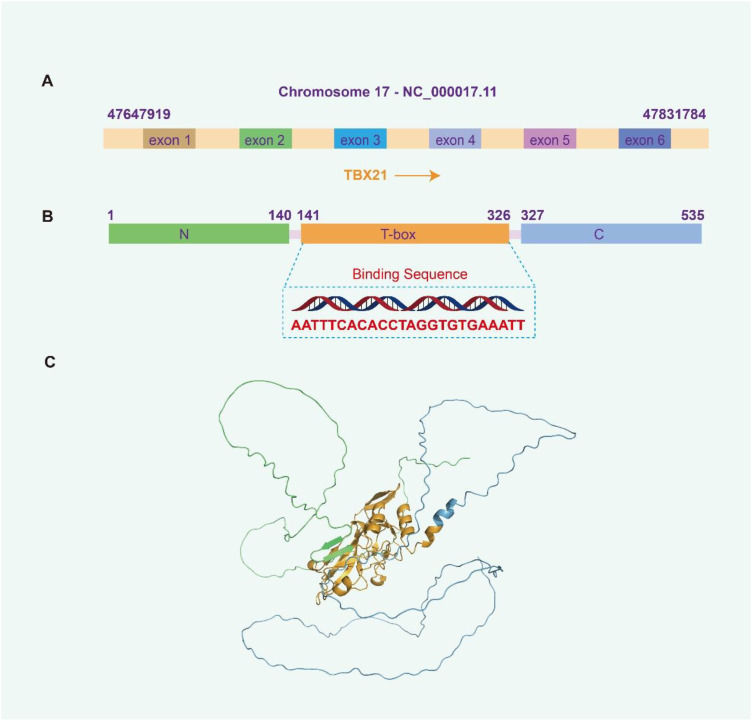 Figure 1