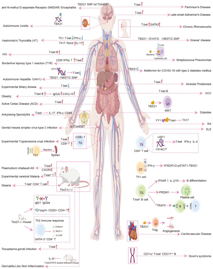 Figure 4