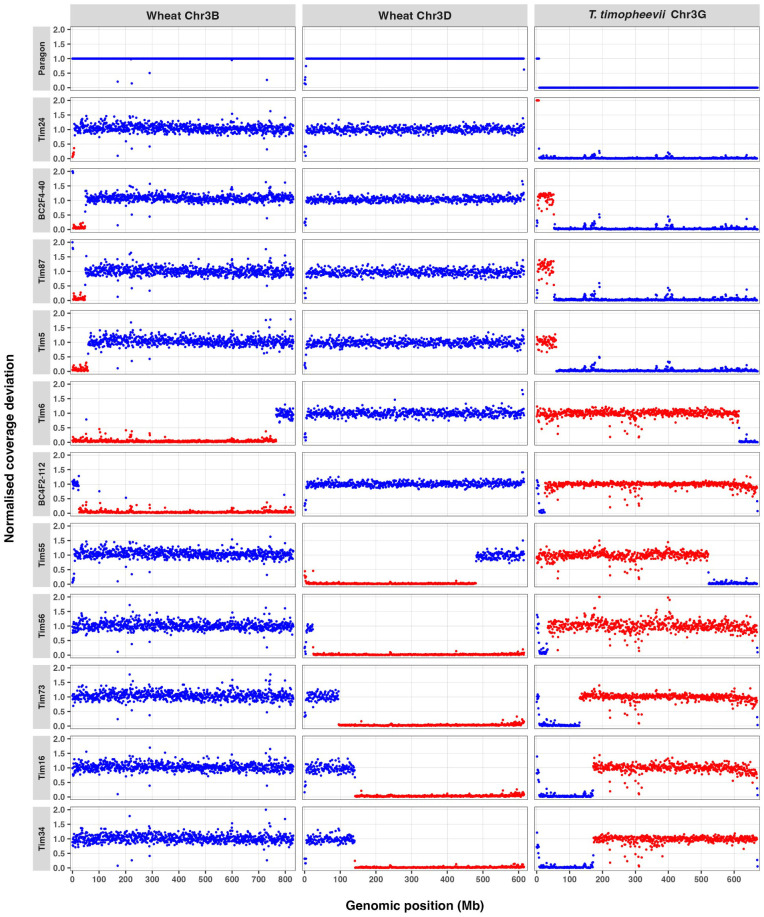 Figure 1