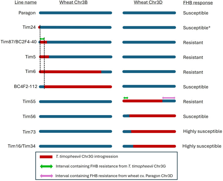 Figure 6