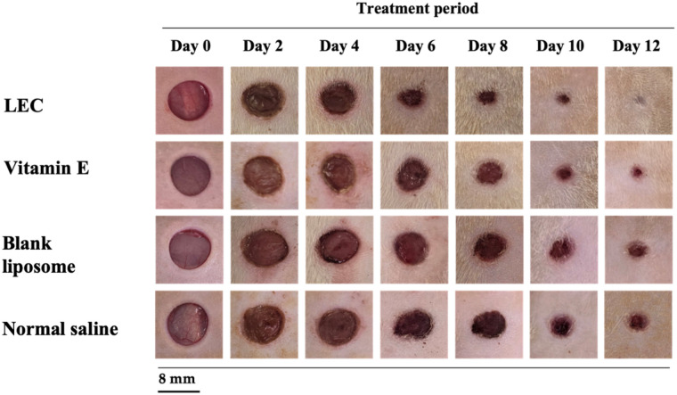 Figure 4