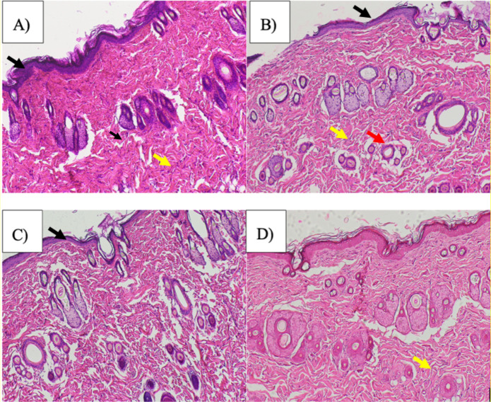 Figure 5