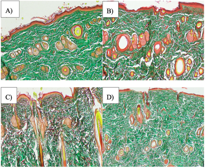 Figure 6