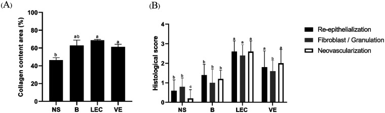 Figure 7