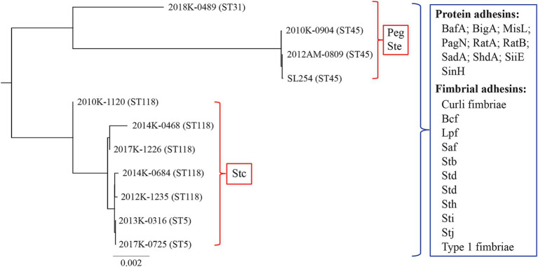 Figure 4