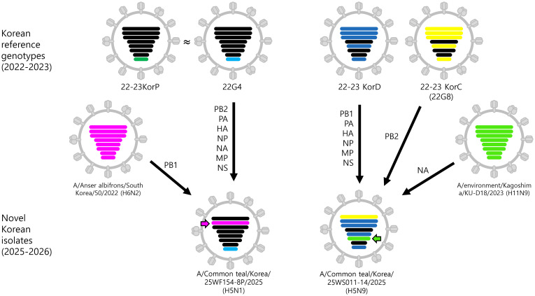 Figure 1