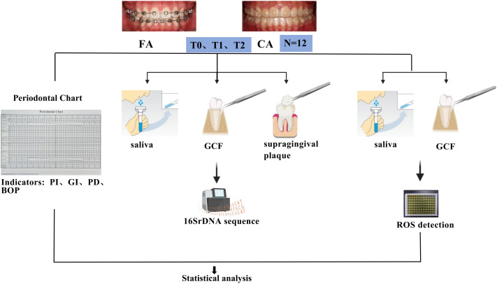 Figure 1
