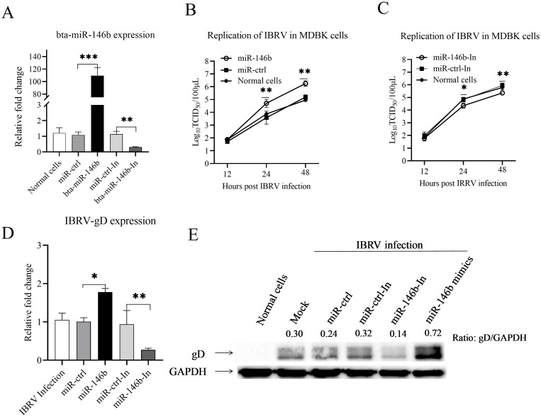 Figure 2