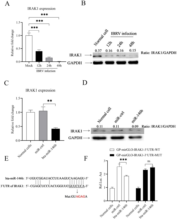 Figure 4