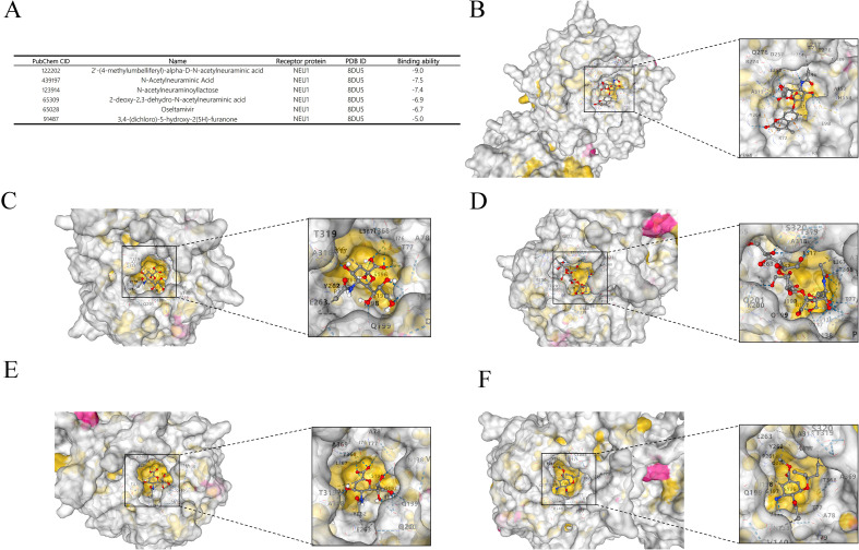 Figure 12