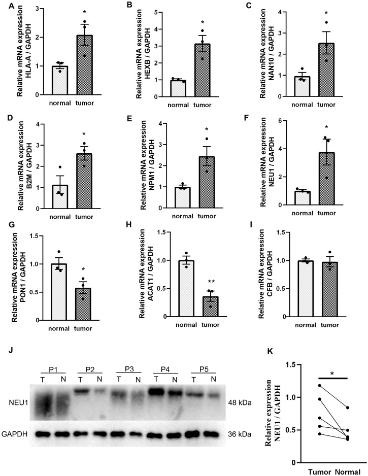Figure 13