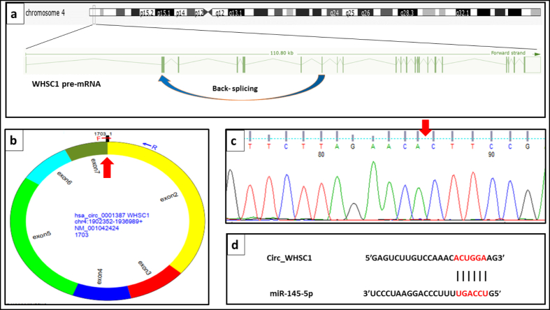 Figure 5