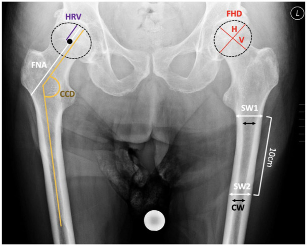 Figure 4