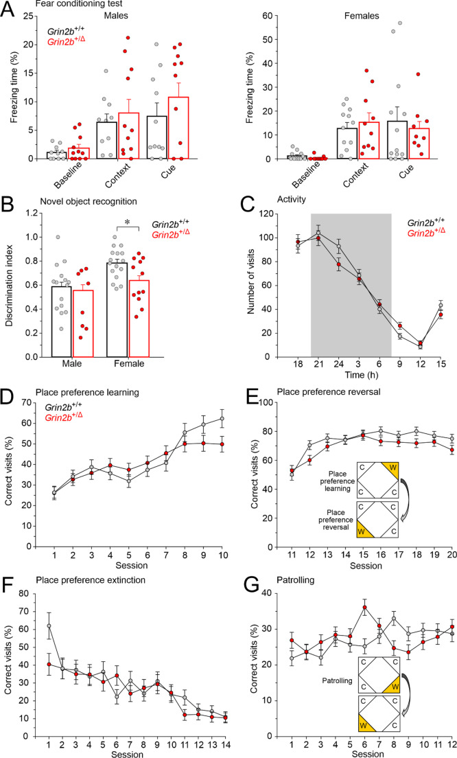 Figure 12