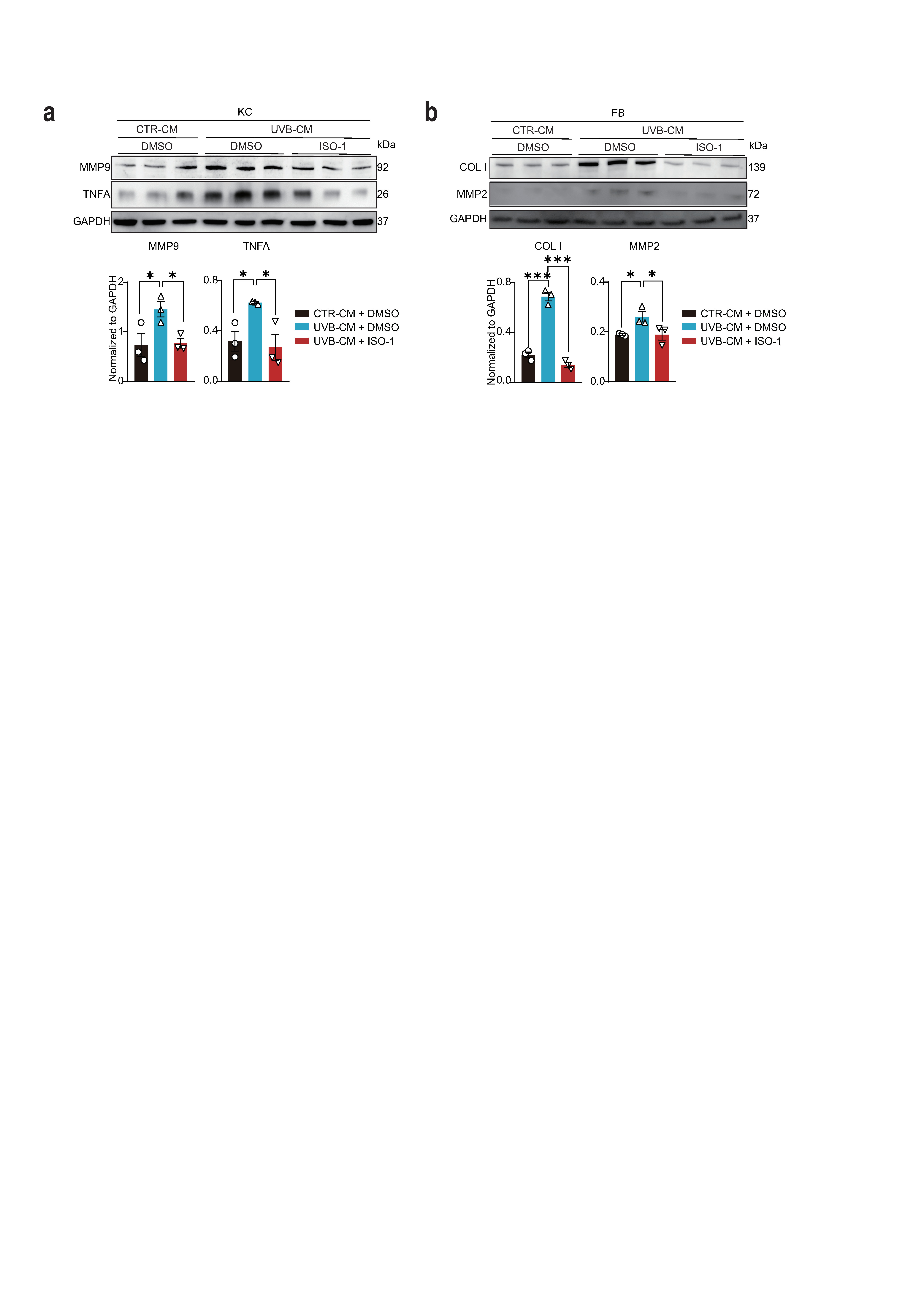 Figure 17