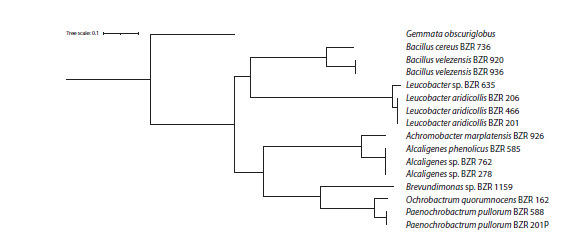 Fig. 5