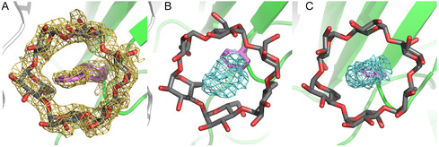 FIGURE 4