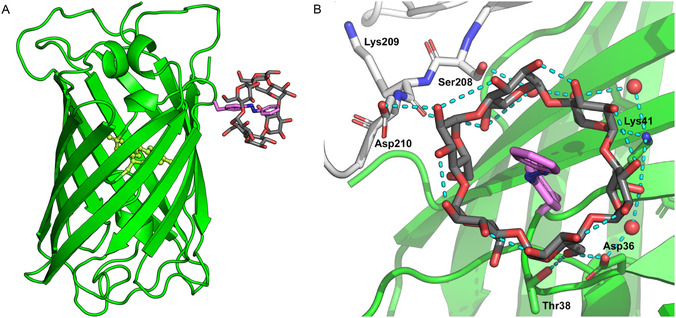 FIGURE 2