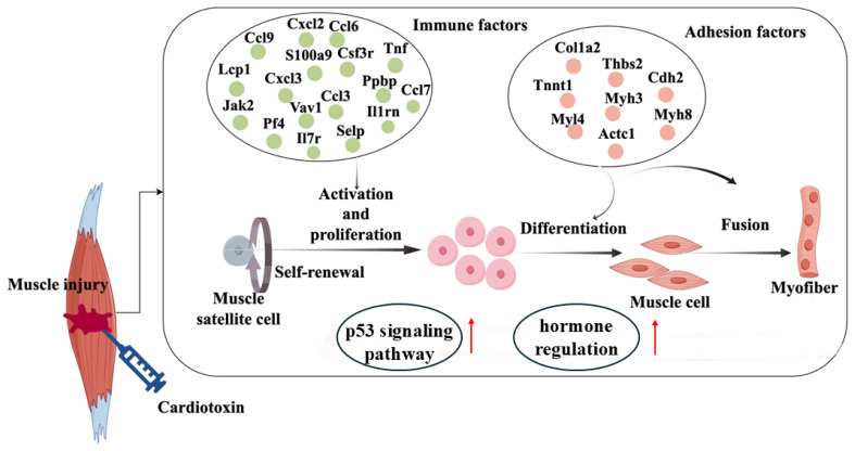 Figure 6