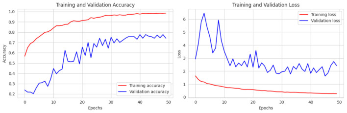 Figure 13