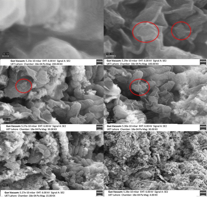 FIGURE 9