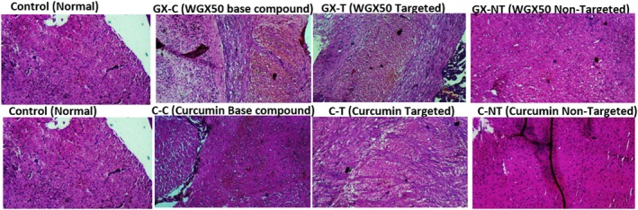 FIGURE 14