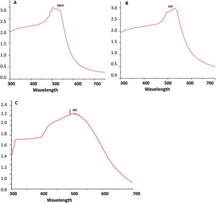 FIGURE 1