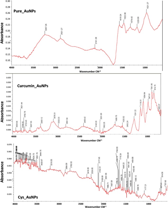 FIGURE 3