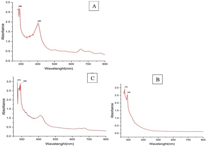 FIGURE 13