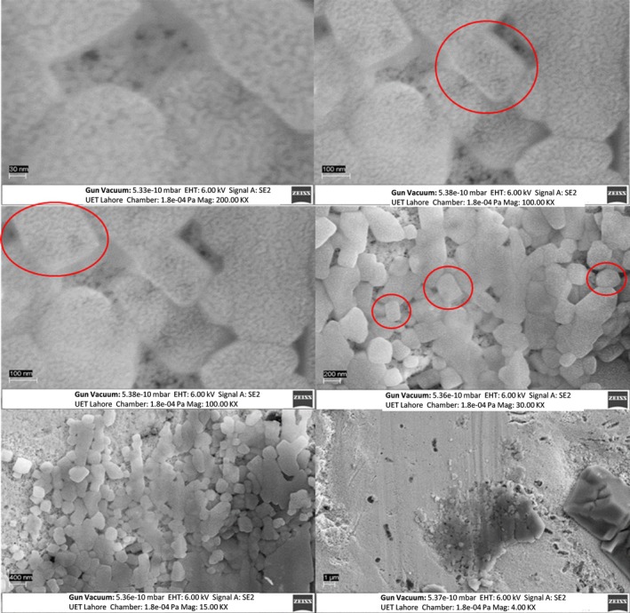 FIGURE 10