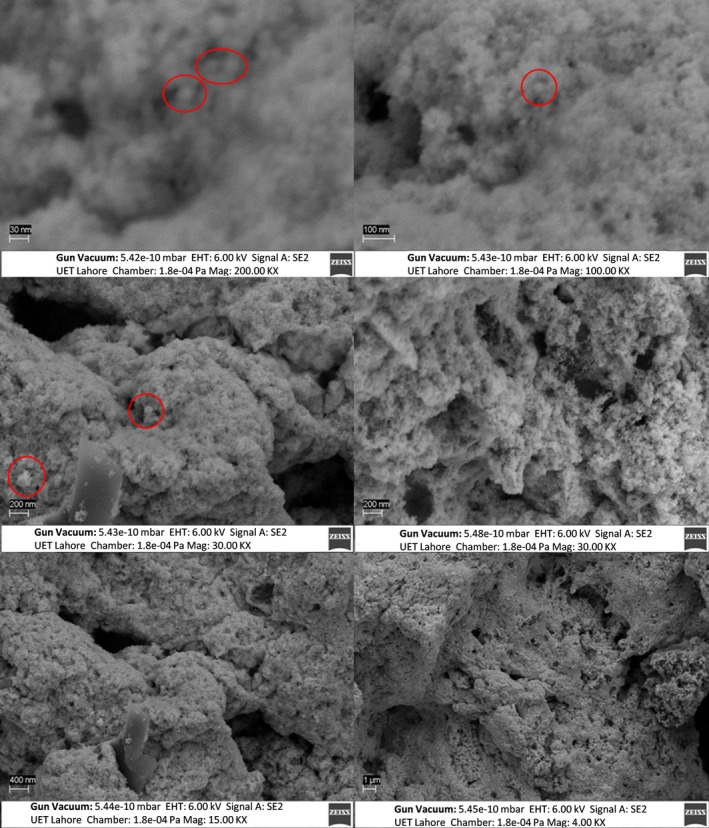 FIGURE 11