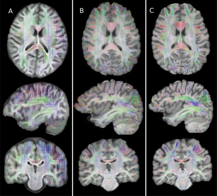FIGURE 3